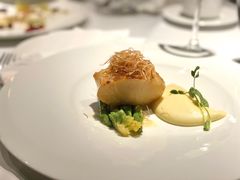 -Oyster Talks 四度蚝法餐厅