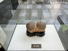 -余天成(上海云间粮仓文创园店)