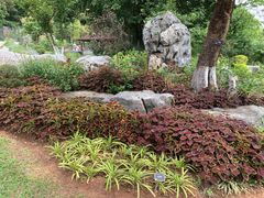 -东莞植物园