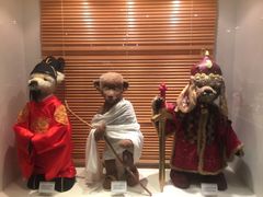 -济州岛泰迪熊博物馆