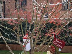 -一尺花园(安和花园店)