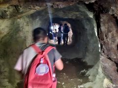 -上海佘山国家森林公园天马山园