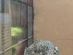 -青藏高原野生动物园