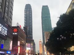 -一只酸奶牛(八一路店)