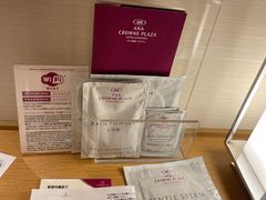 -京都全日空皇冠假日酒店