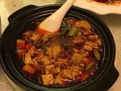 -陈麻婆豆腐总店