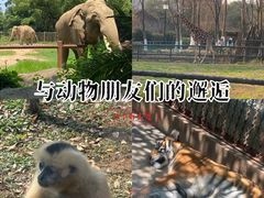 -南昌动物园