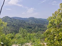 -木兰云雾山