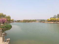 -淇河国家湿地公园