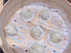 -老桐椿 · 上海大馄饨