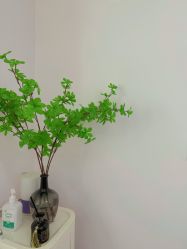 -变美丽半永久纹眉连锁·机器野生眉·洗眉