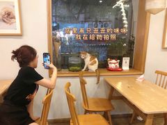 用餐区-正南齐北·老街糯米团(洪崖洞店)