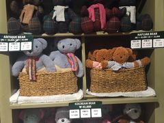 -济州岛泰迪熊博物馆