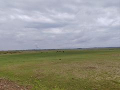 -穆豪麦蒸碗羊羔肉