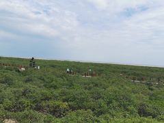 -北海金海湾红树林生态旅游区