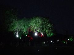 -滨江生态公园