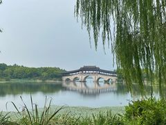 -长广溪湿地公园