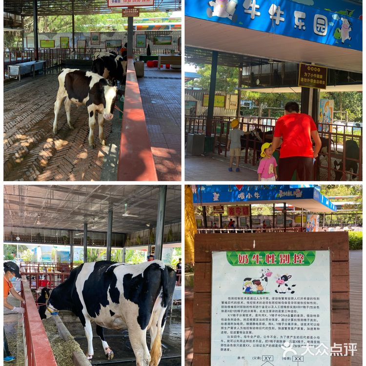 🐮国庆假期亲子游好去处｜光明农场大观园