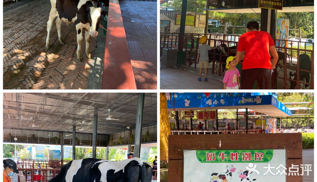 🐮国庆假期亲子游好去处｜光明农场大观园