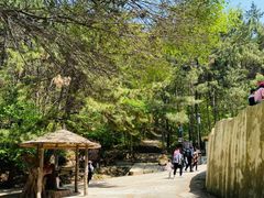 -金龙寺国家森林公园