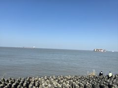 -上海滨江森林公园