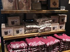 -九又四分之三站台哈利波特商店