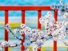 -颐和园