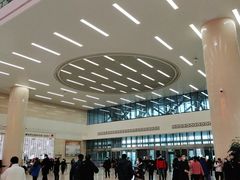 -中国人民解放军总医院