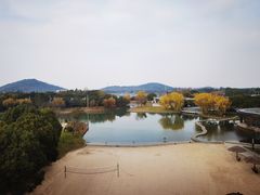 -上海佘山世茂艾美酒店