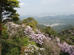 -梧桐山风景名胜区