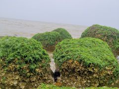 -白沙门生态公园