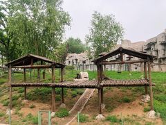 -石家庄市动物园