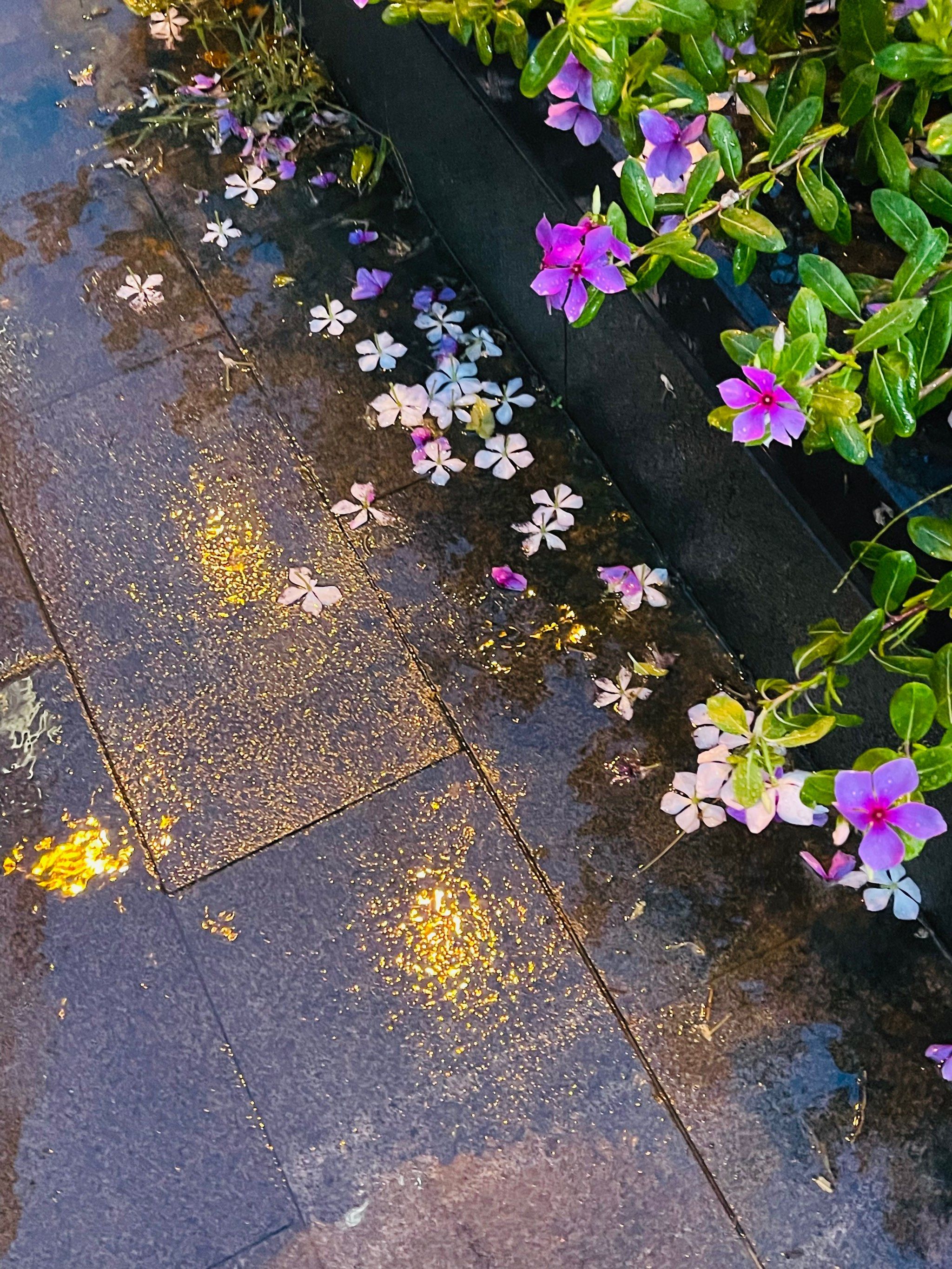 雨天赠予的浪漫