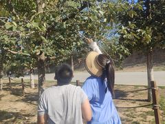 -汉长安城未央宫国家考古遗址公园