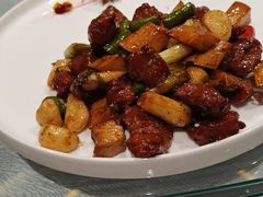 -南阳建业森林半岛假日酒店