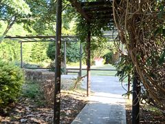 -金钉子远古世界景区