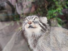 -青藏高原野生动物园