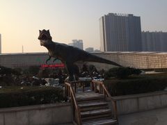 -陕西自然博物馆