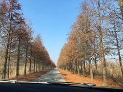 -妈妈的小作坊(陈家镇店)