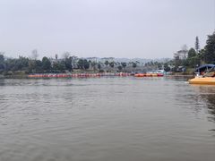 -枫香湖儿童公园