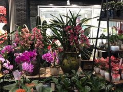 -豆豆花艺(新光天地店)