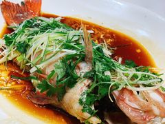 东星斑-凤城礼记鱼翅海鲜酒家(新马路总店)