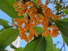 -苏州河梦清园环保主题公园