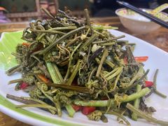 凉拌蕨菜-宗巴雍姆藏餐府