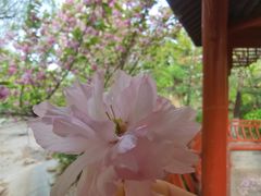 -京门活鱼馆·鱼火锅(百子湾（原红庙）店)