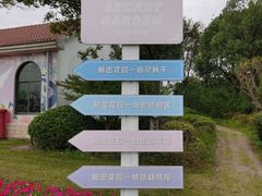 -杭州湾海上花田景区
