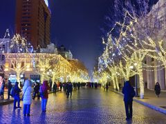 -人民防洪胜利纪念塔