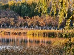 -丁香湖公园