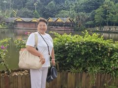 -西双版纳原始森林公园