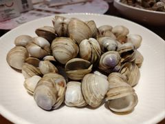 -即墨印象
